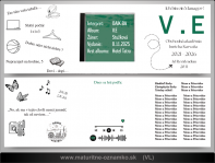 VN 48 VL